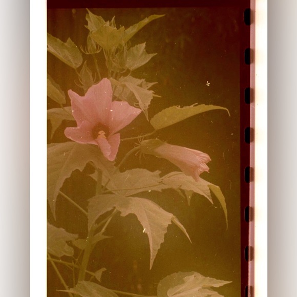 @_Callisa - Picture 5 of 8